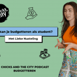 WEBHEADER - BUDGETTEREN-4